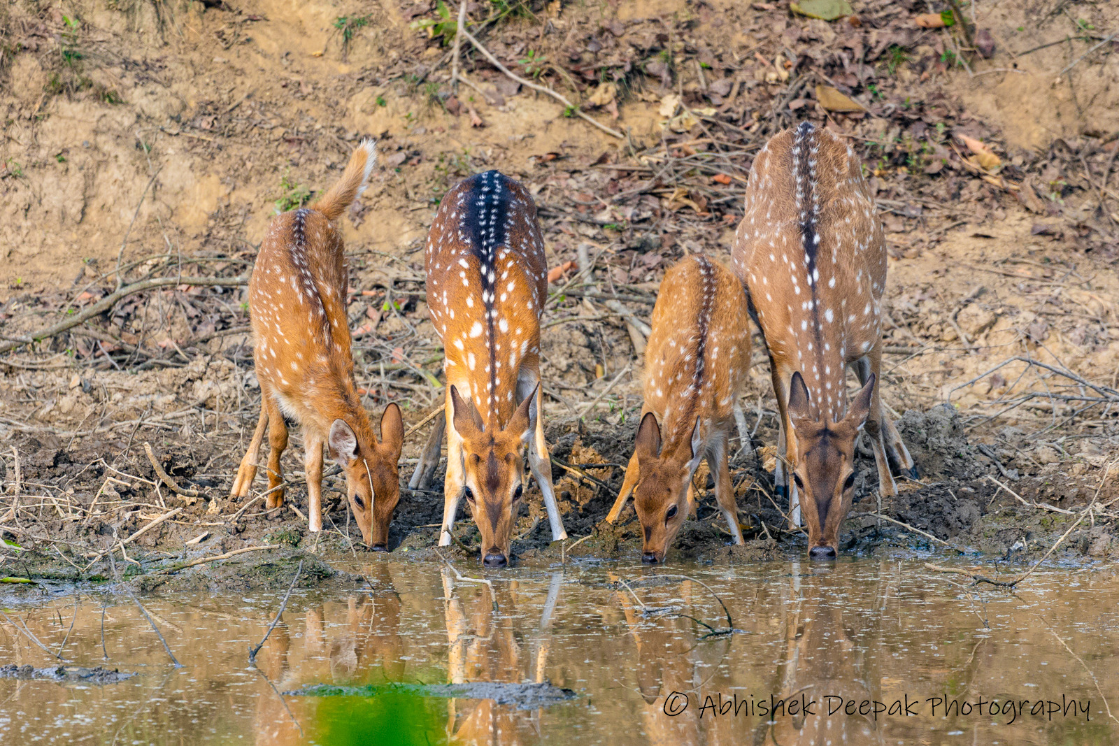 WBTPA Featured Top Photo