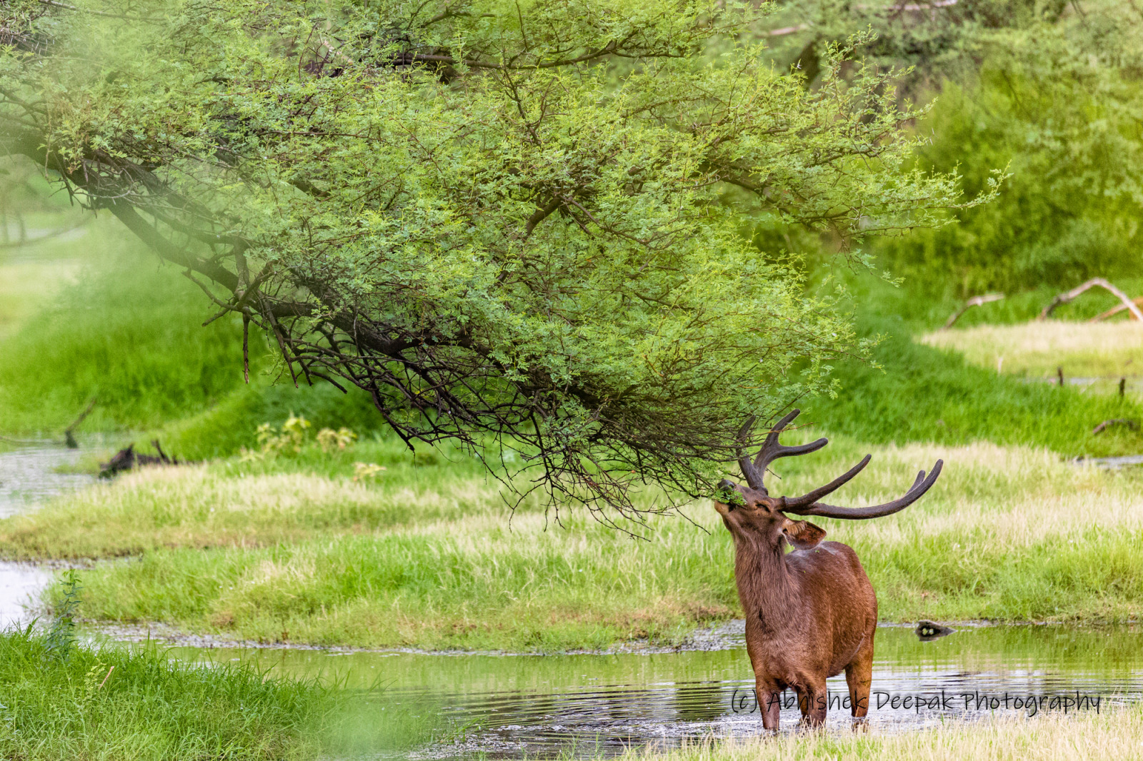 WBTPA Featured Top Photo