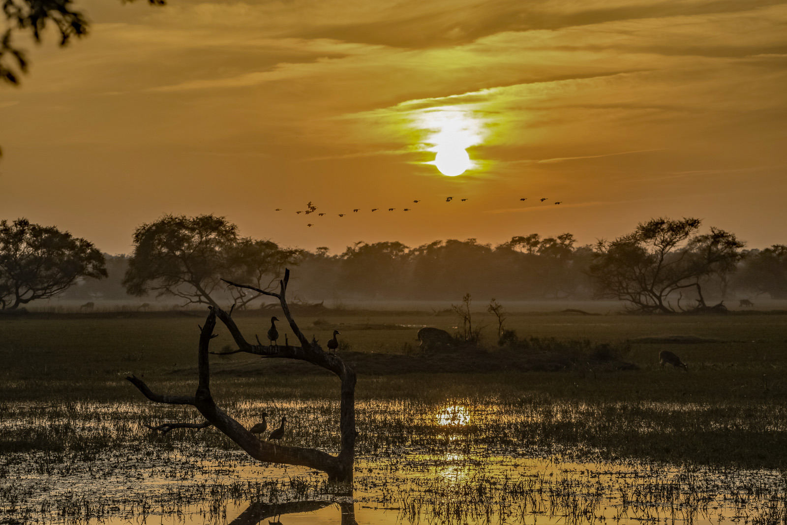 WBTPA Featured Top Photo