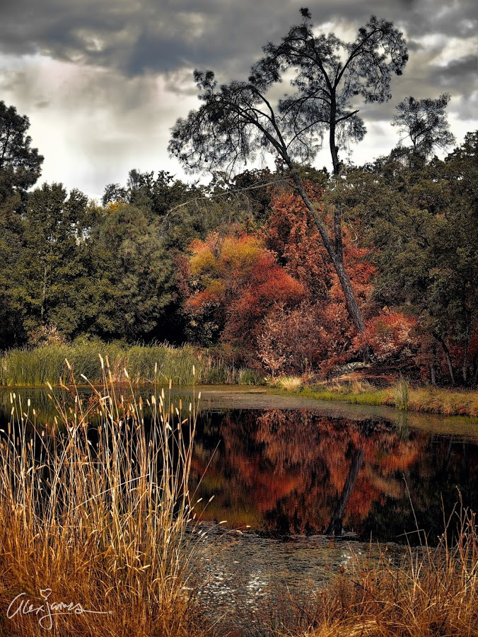 WBTPA Featured Top Photo