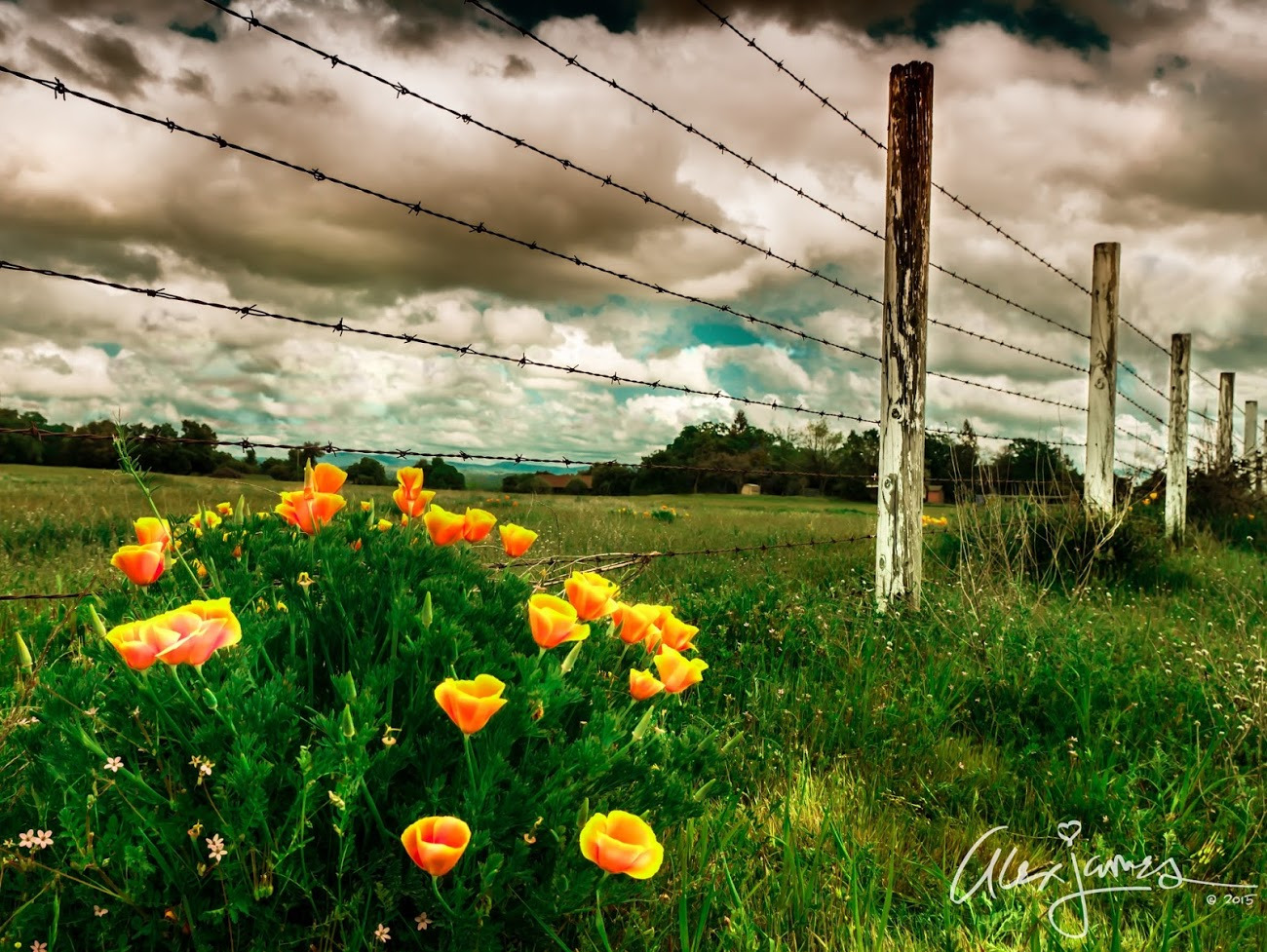 WBTPA Featured Top Photo