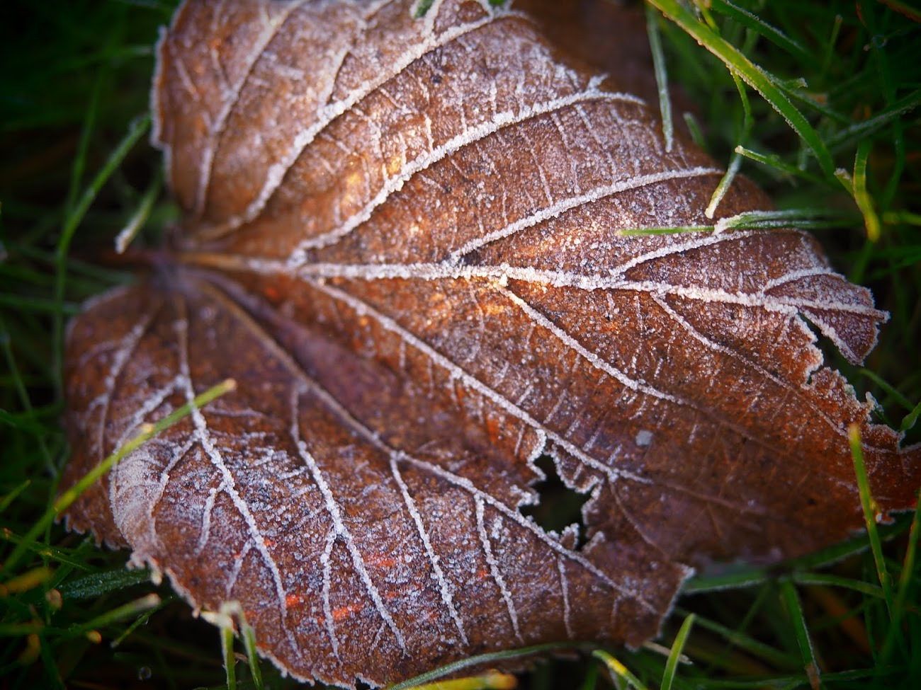 WBTPA Featured Top Photo