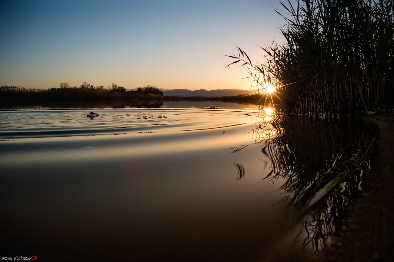 WBTPA Featured Top Photo