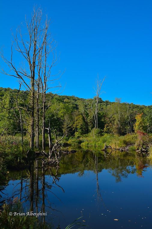 WBTPA Featured Top Photo