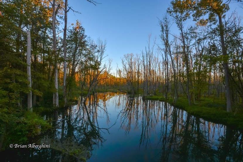 WBTPA Featured Top Photo