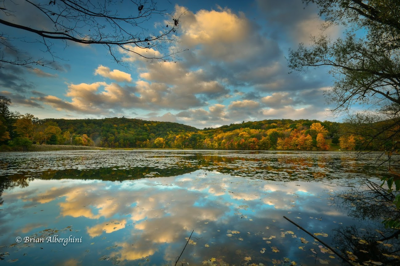 WBTPA Featured Top Photo