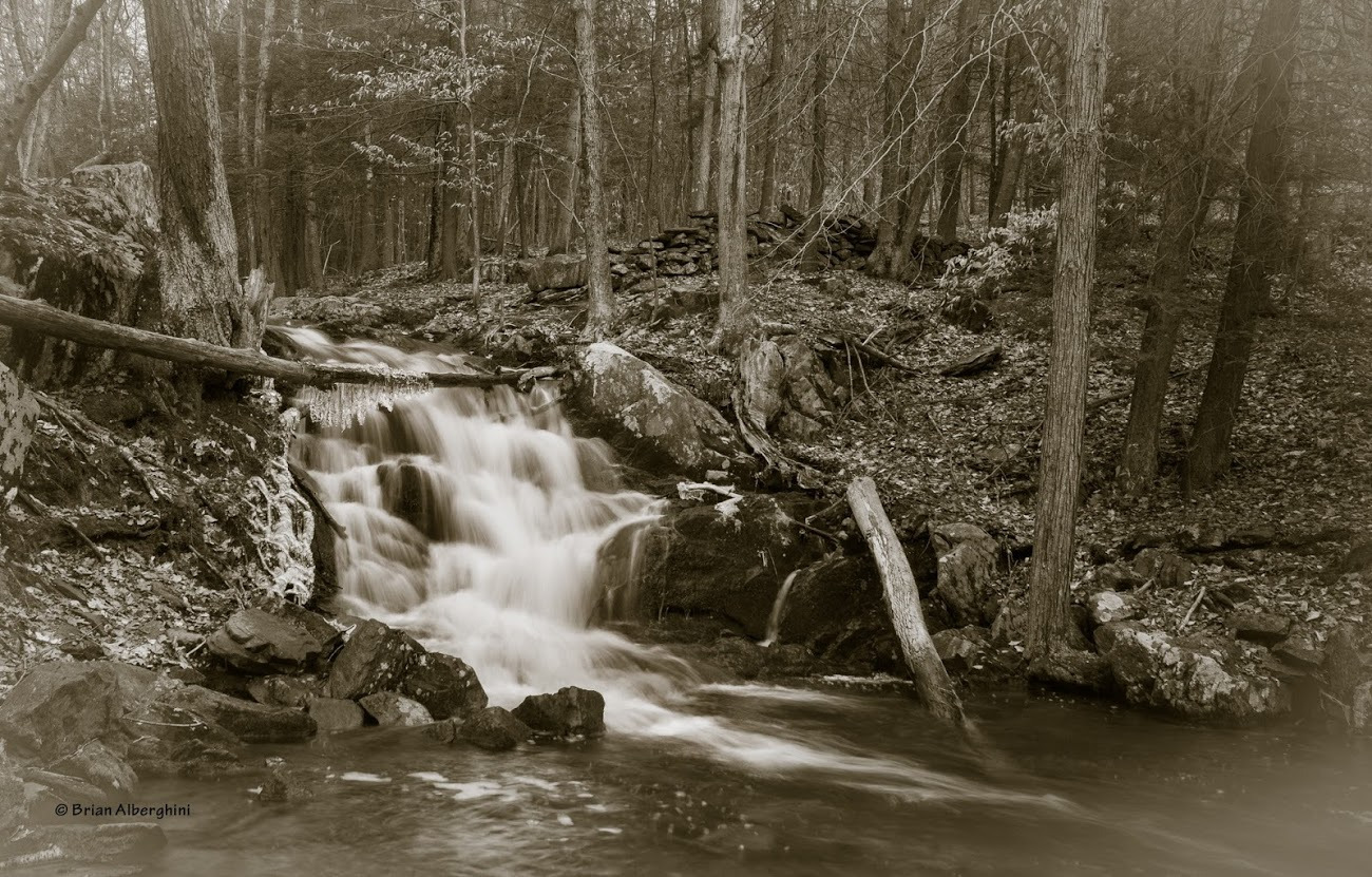 WBTPA Featured Top Photo