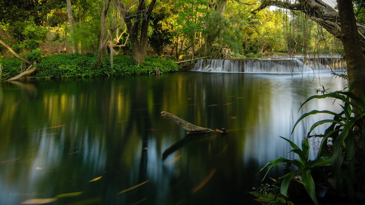 WBTPA Featured Top Photo