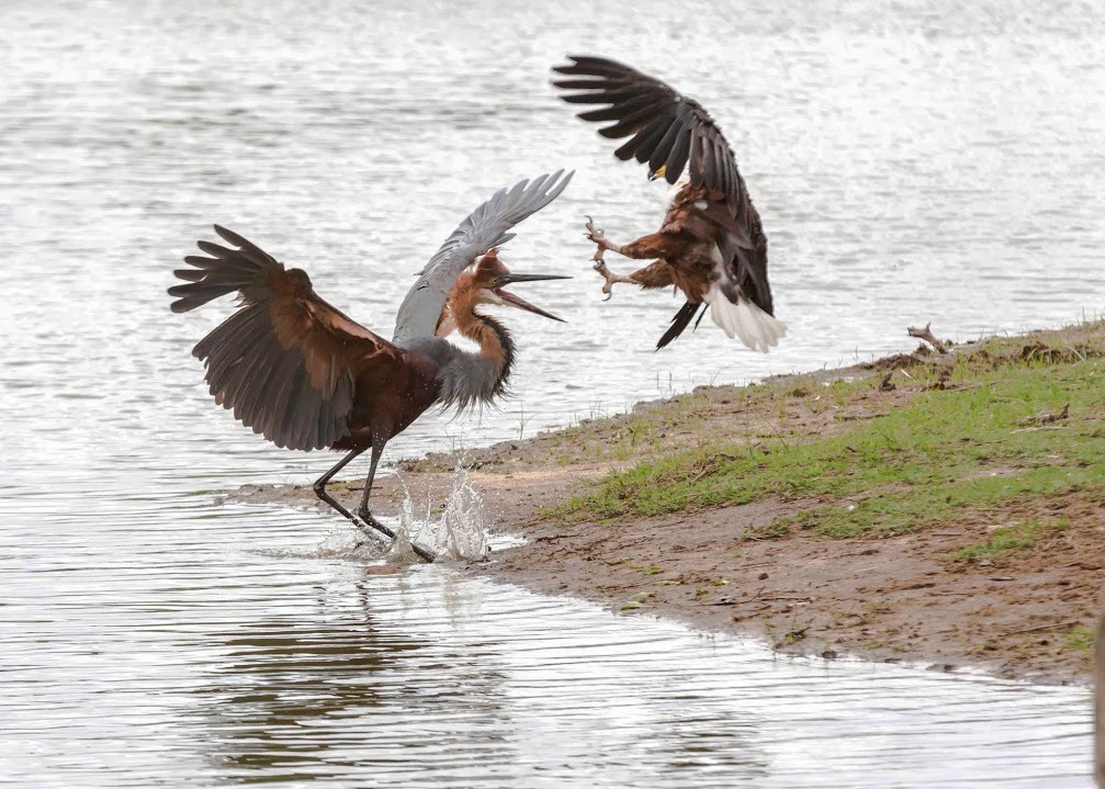 WBTPA Featured Top Photo