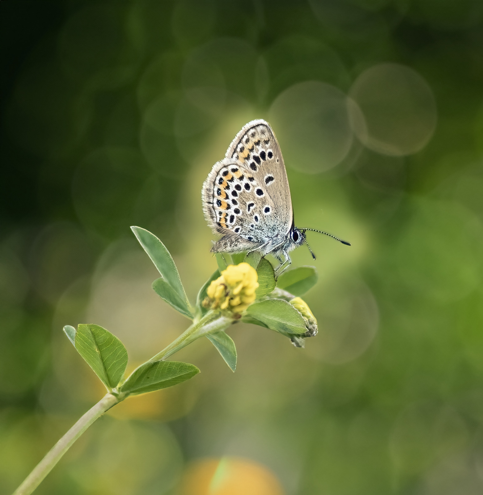 WBTPA Featured Top Photo