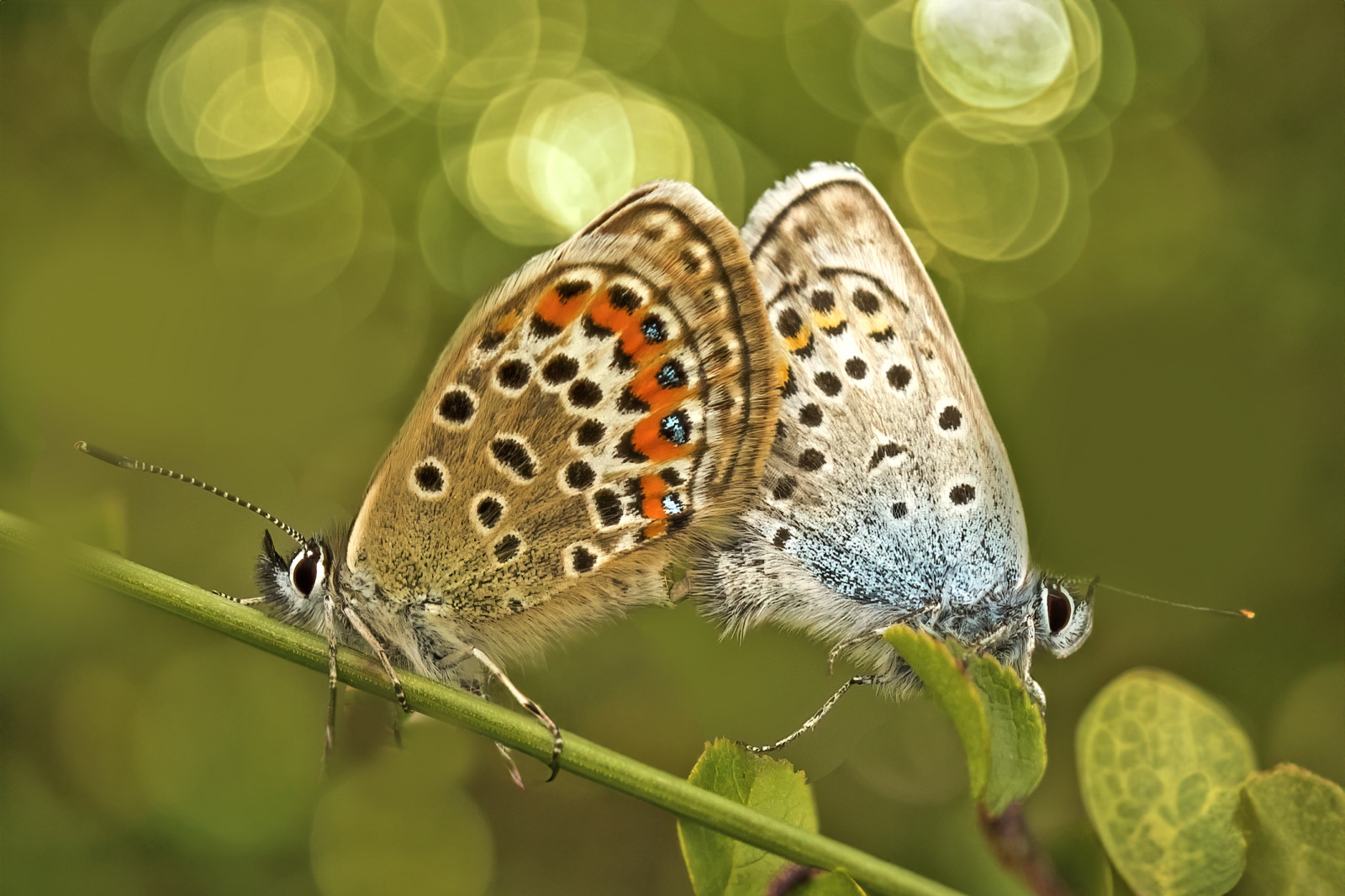 WBTPA Featured Top Photo