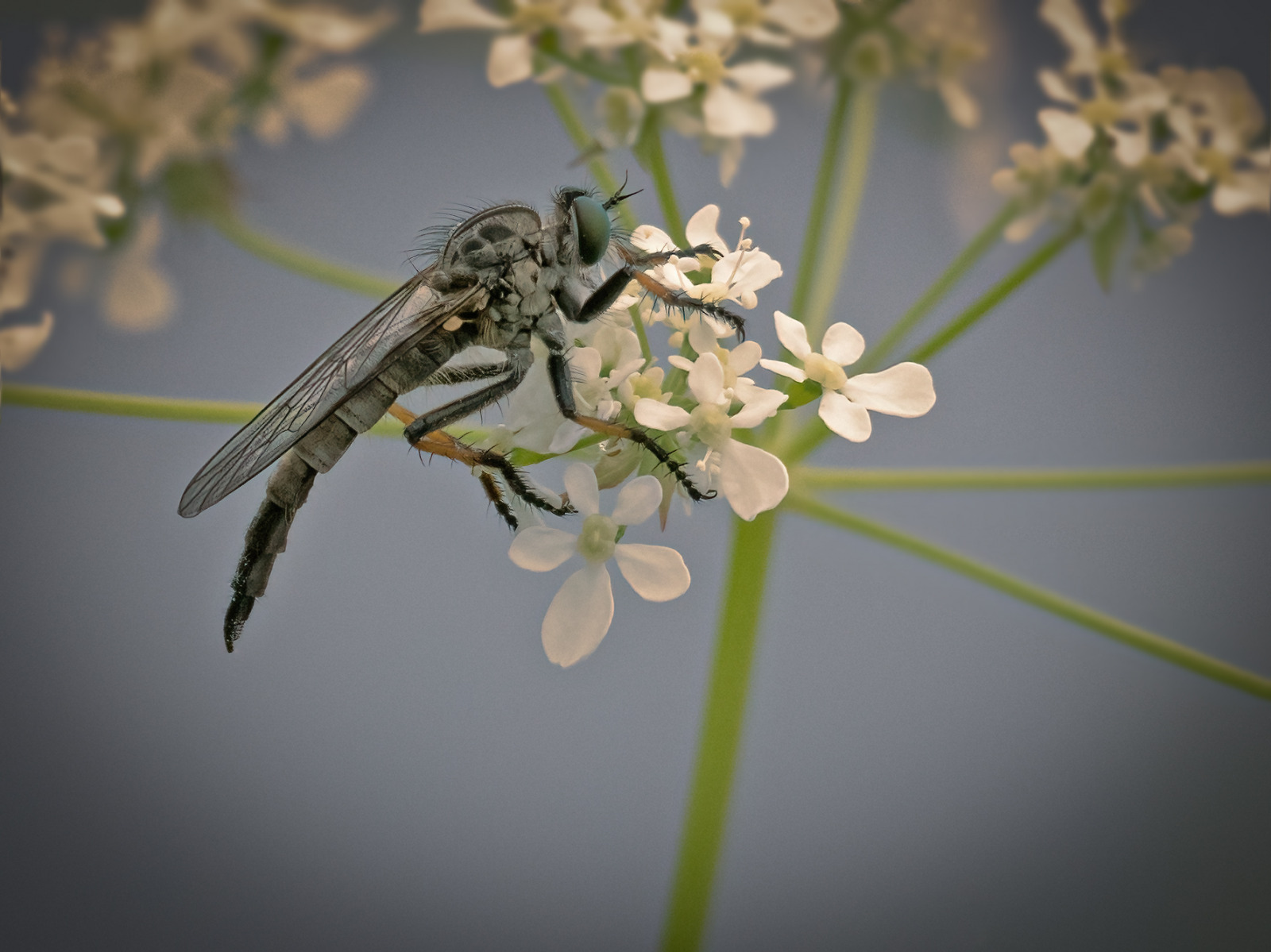 WBTPA Featured Top Photo