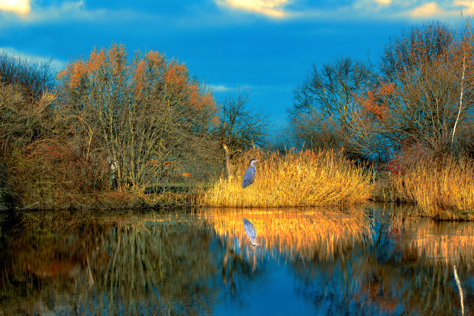 WBTPA Featured Top Photo