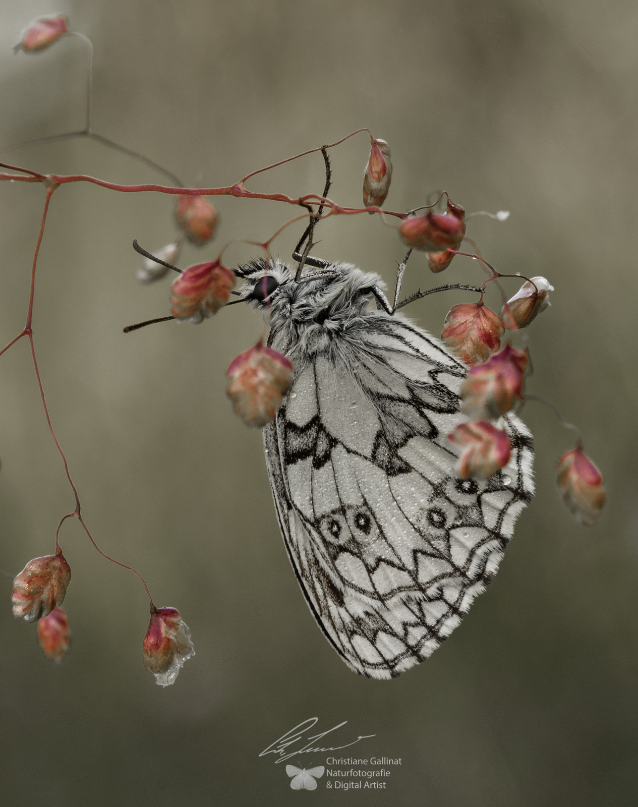 WBTPA Featured Top Photo