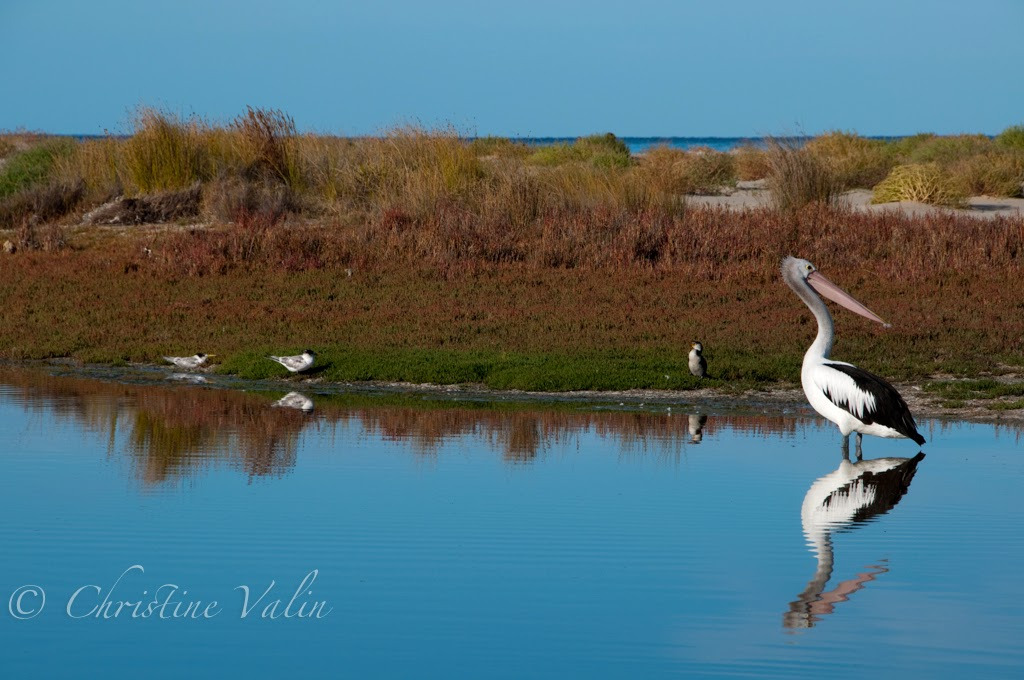 WBTPA Featured Top Photo