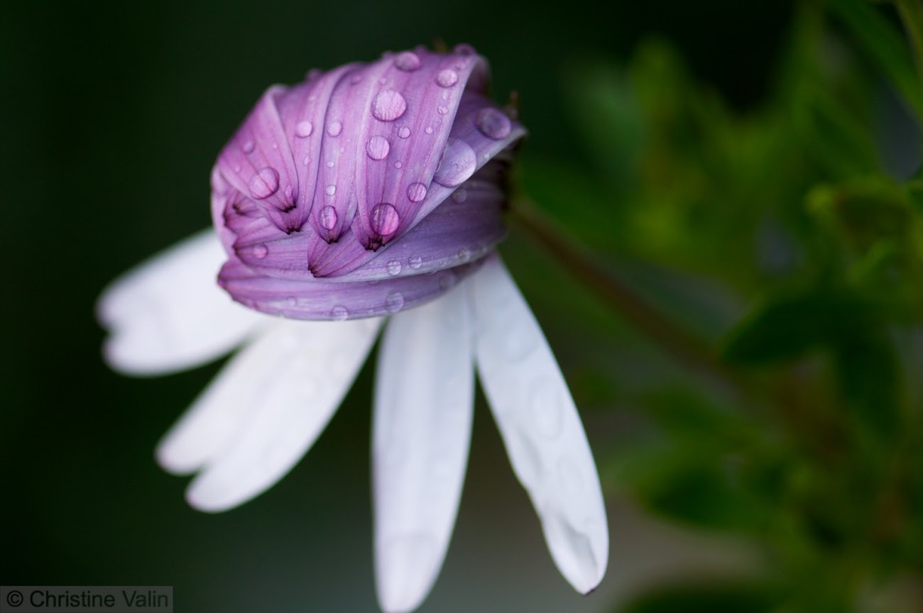 WBTPA Featured Top Photo