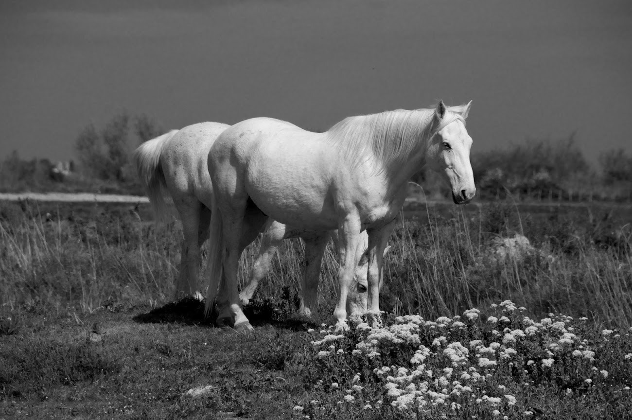 WBTPA Featured Top Photo