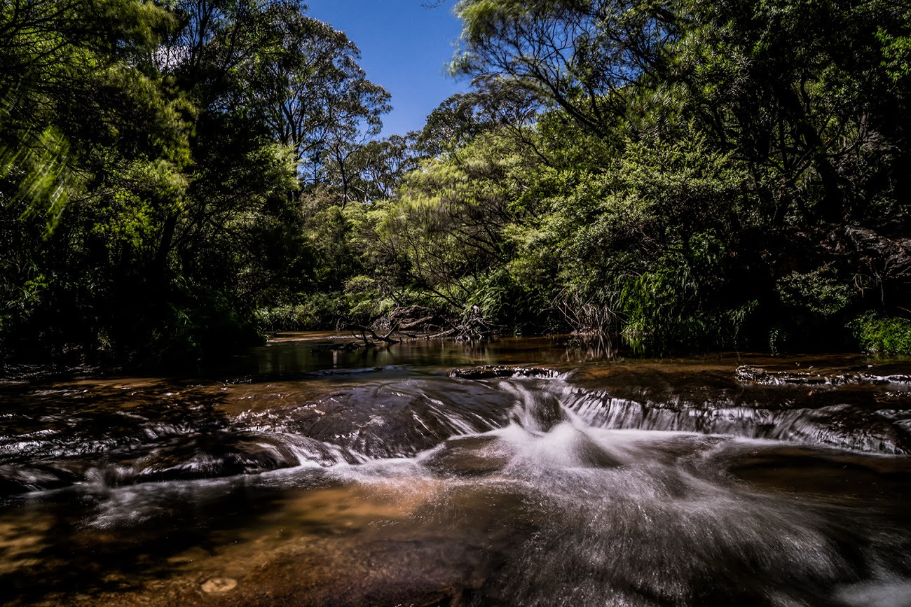 WBTPA Featured Top Photo