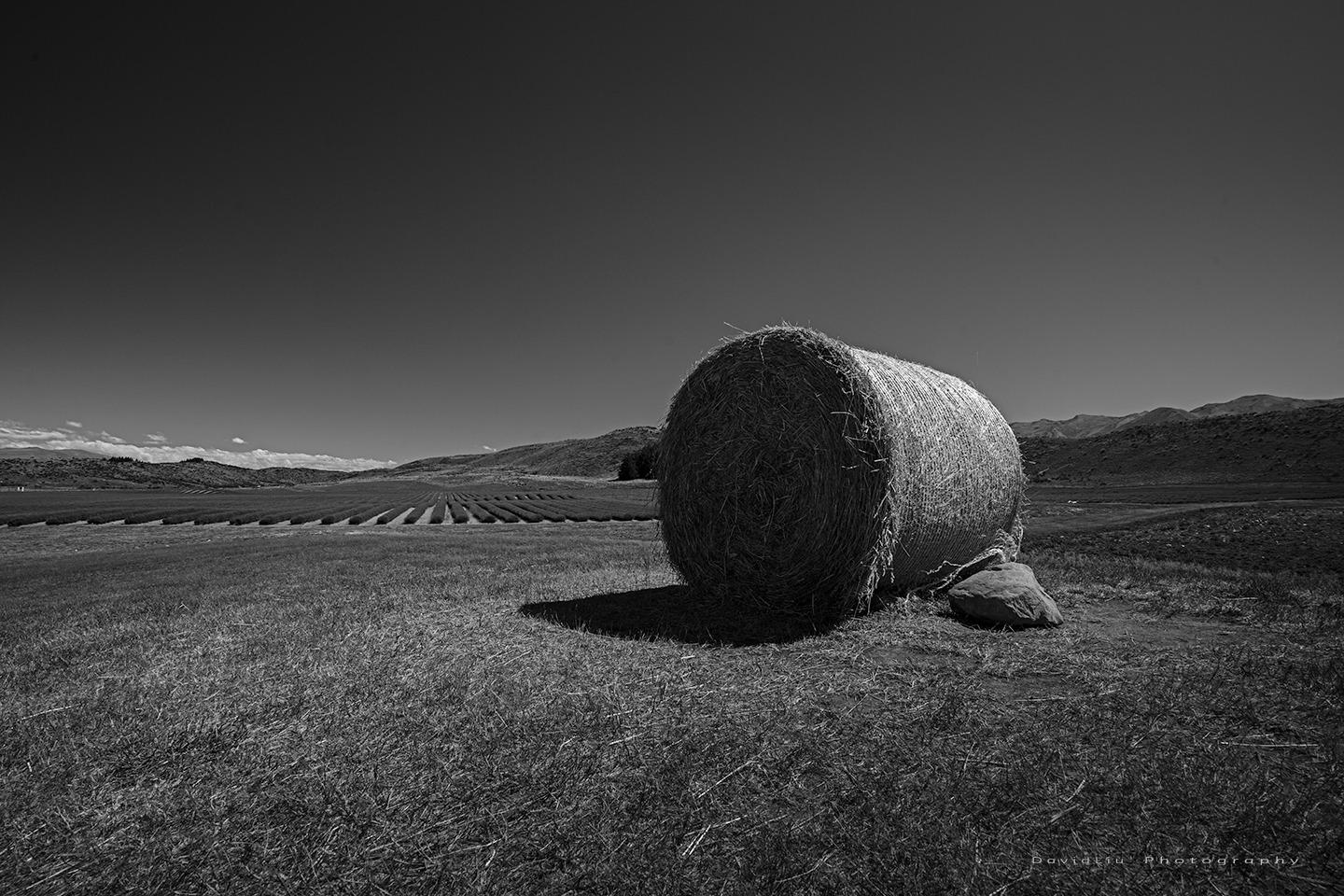 WBTPA Featured Top Photo