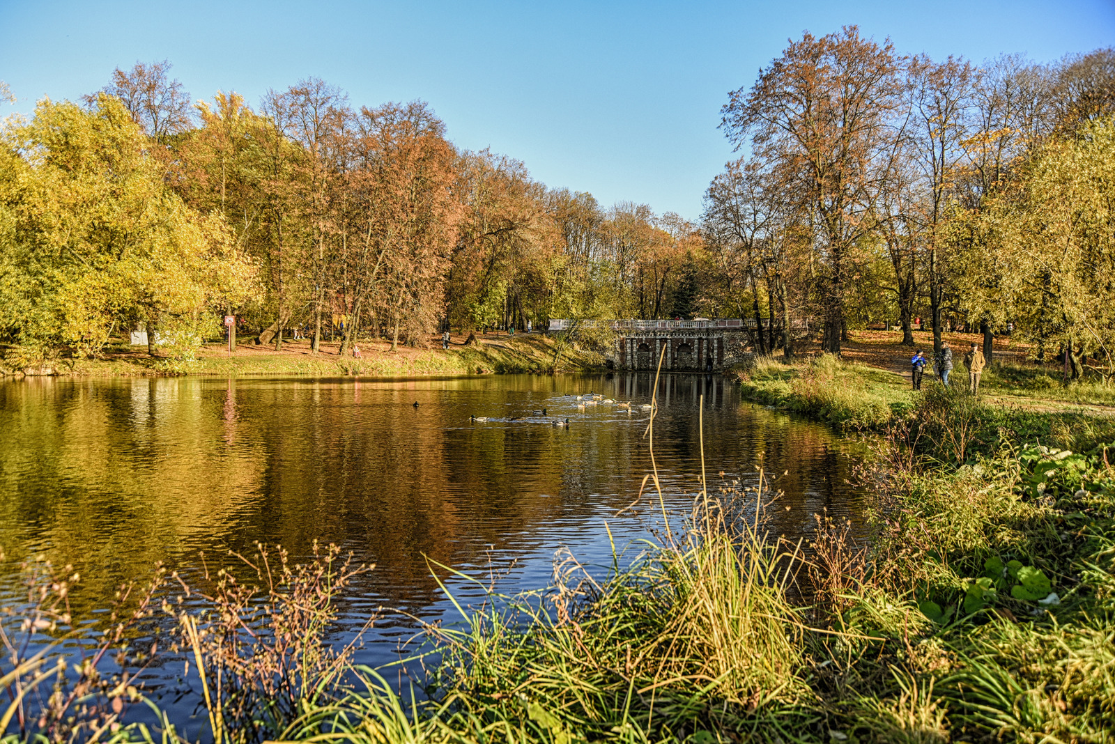 WBTPA Featured Top Photo