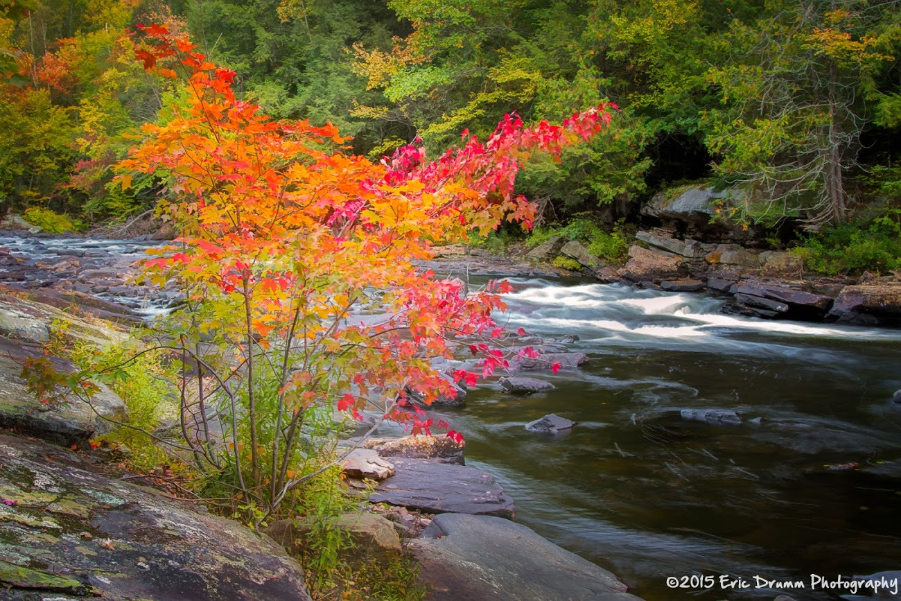 WBTPA Featured Top Photo