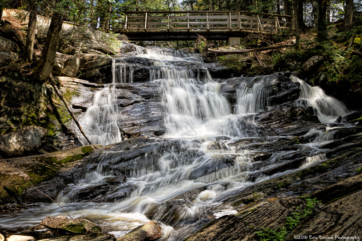 WBTPA Featured Top Photo