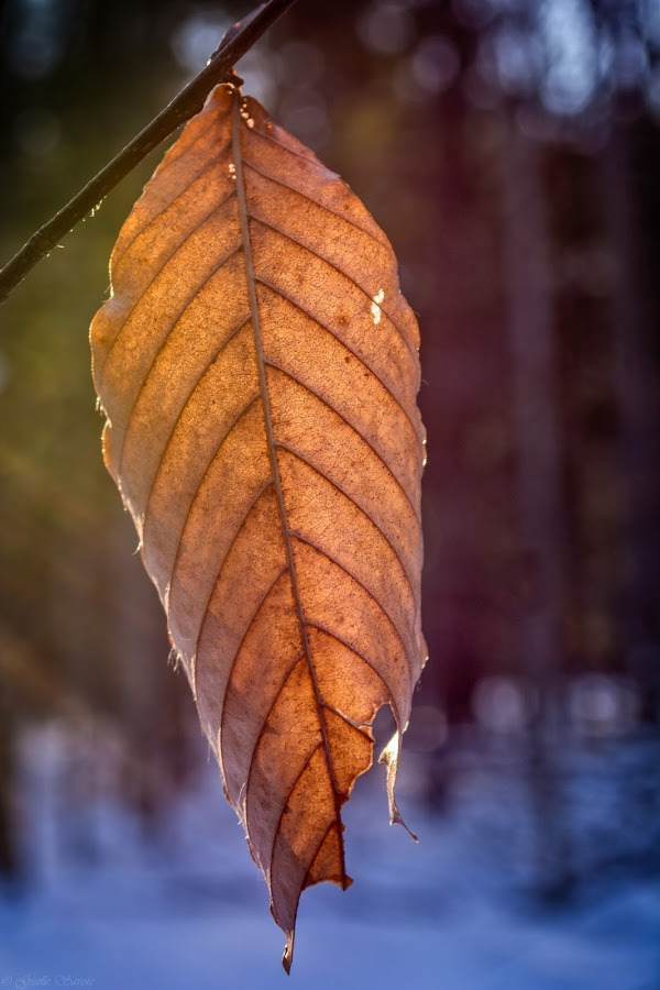 WBTPA Featured Top Photo