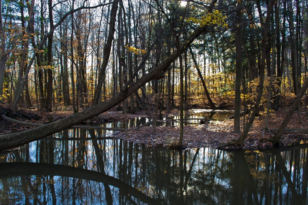 WBTPA Featured Top Photo