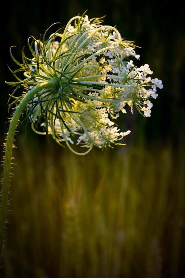 WBTPA Featured Top Photo