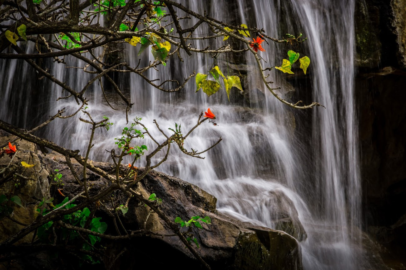 WBTPA Featured Top Photo