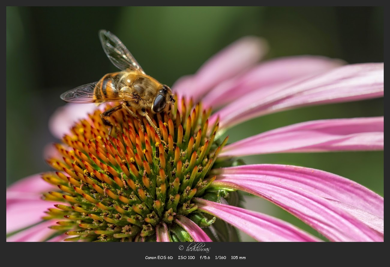 WBTPA Featured Top Photo