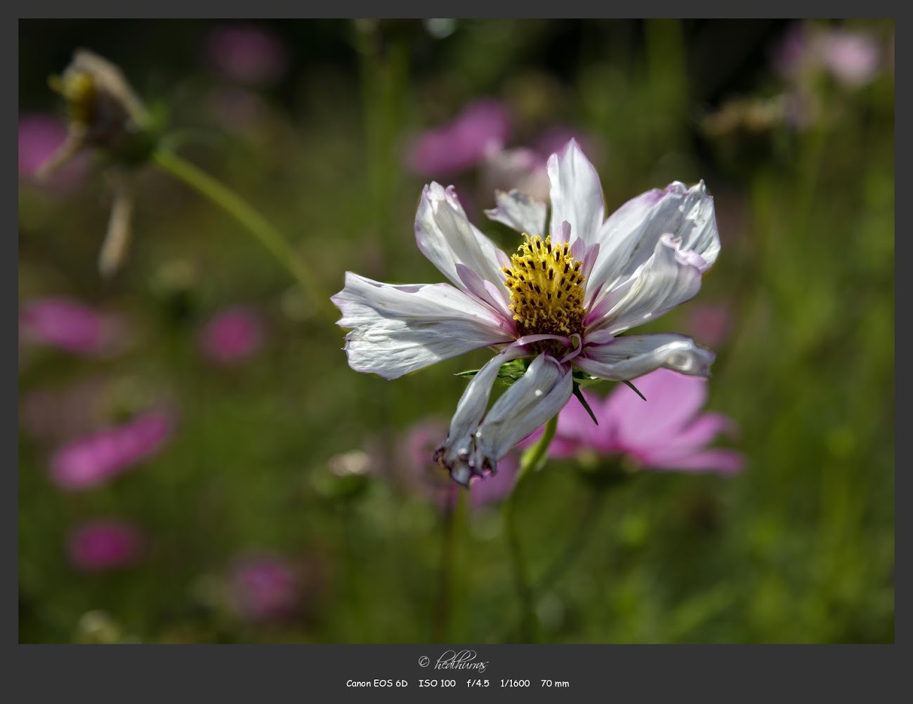 WBTPA Featured Top Photo