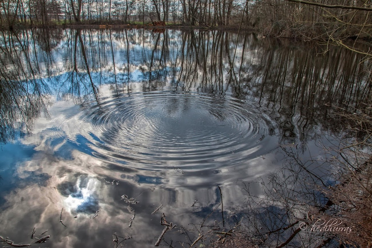 WBTPA Featured Top Photo