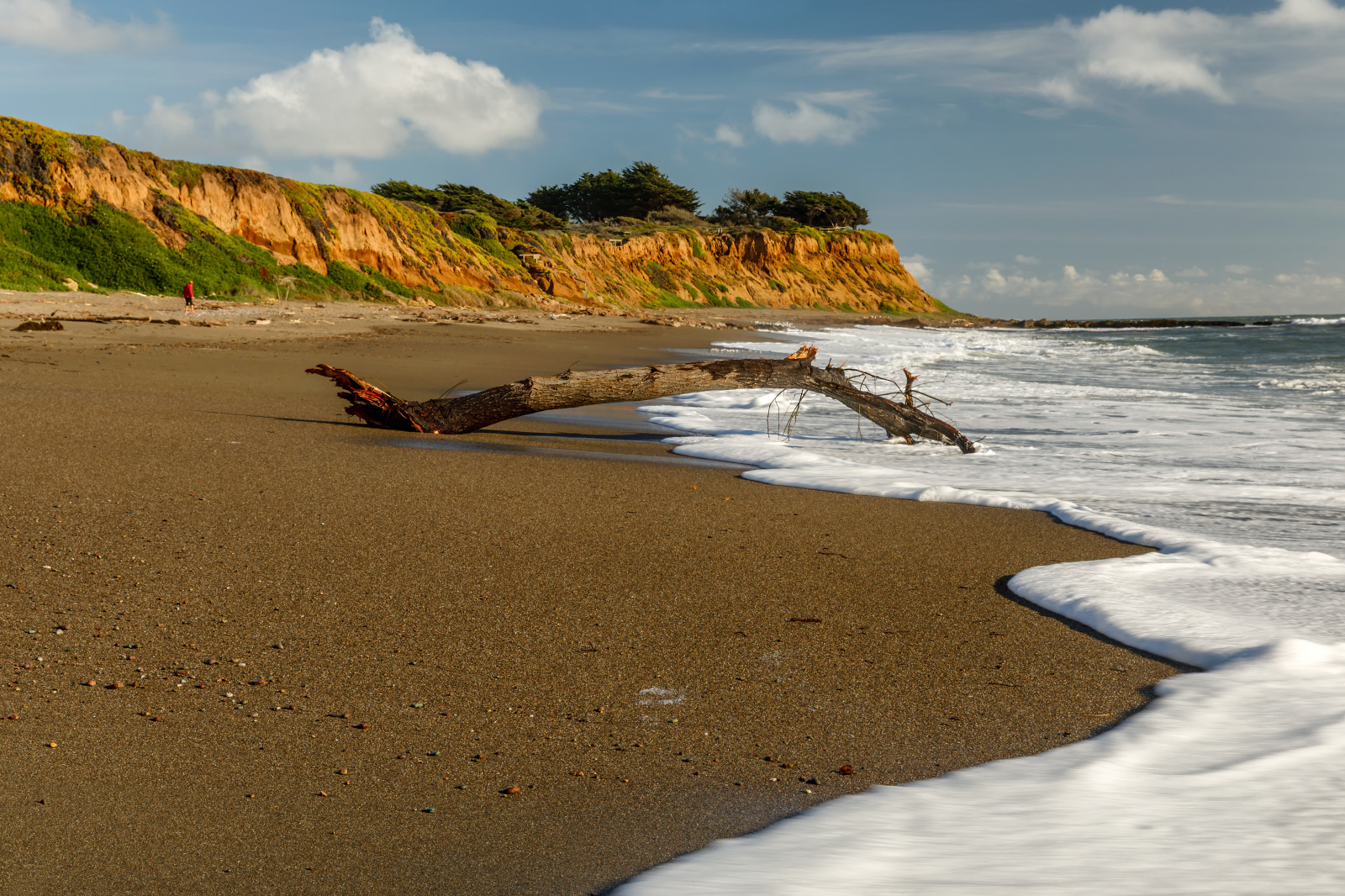 WBTPA Featured Top Photo