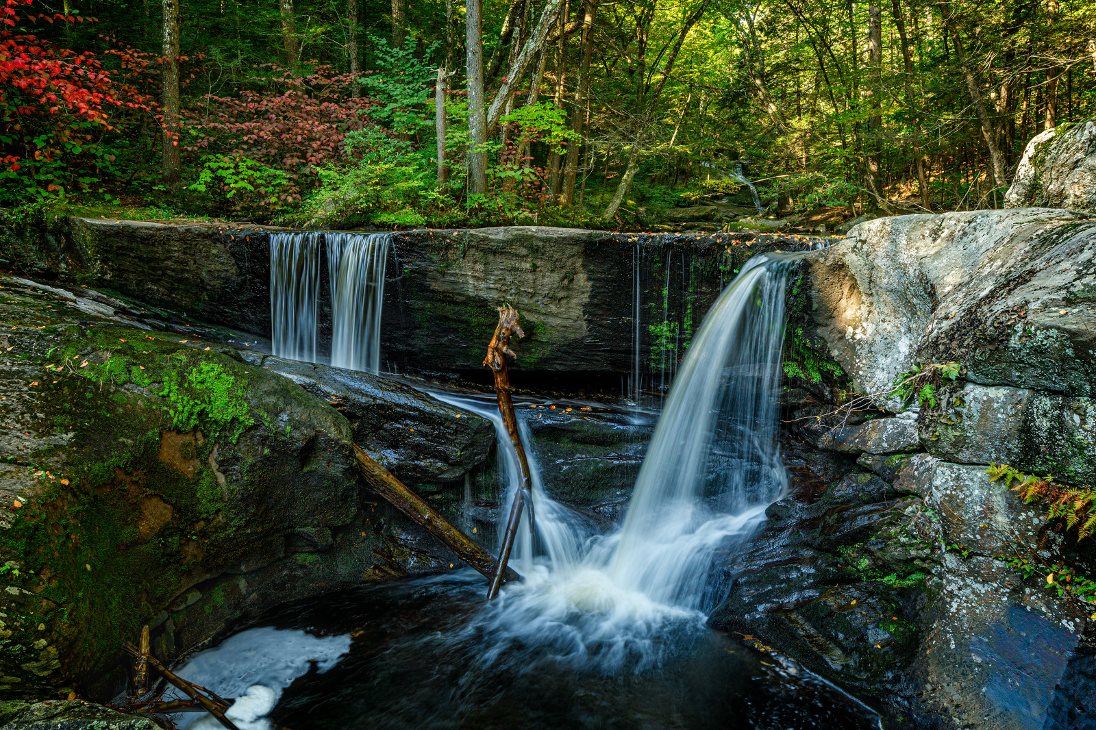 WBTPA Featured Top Photo