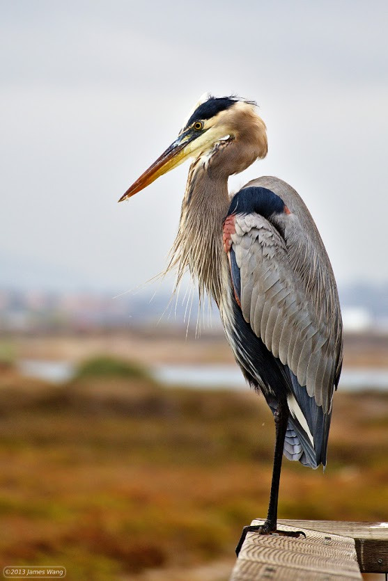 WBTPA Featured Top Photo