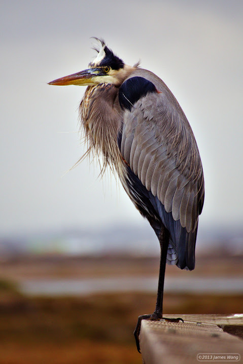 WBTPA Featured Top Photo