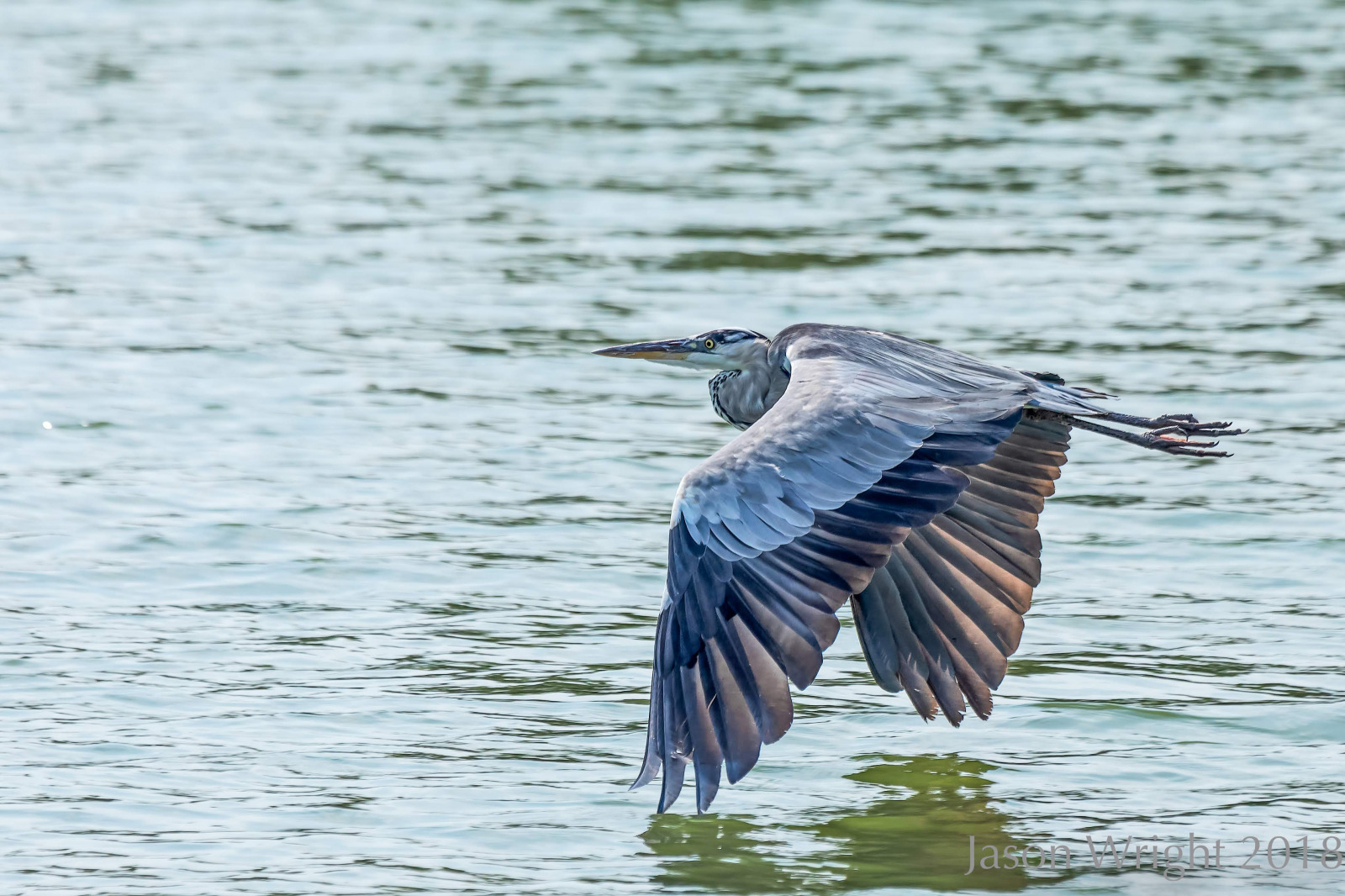 WBTPA Featured Top Photo