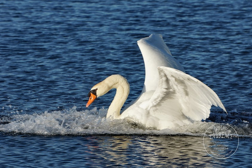 WBTPA Featured Top Photo