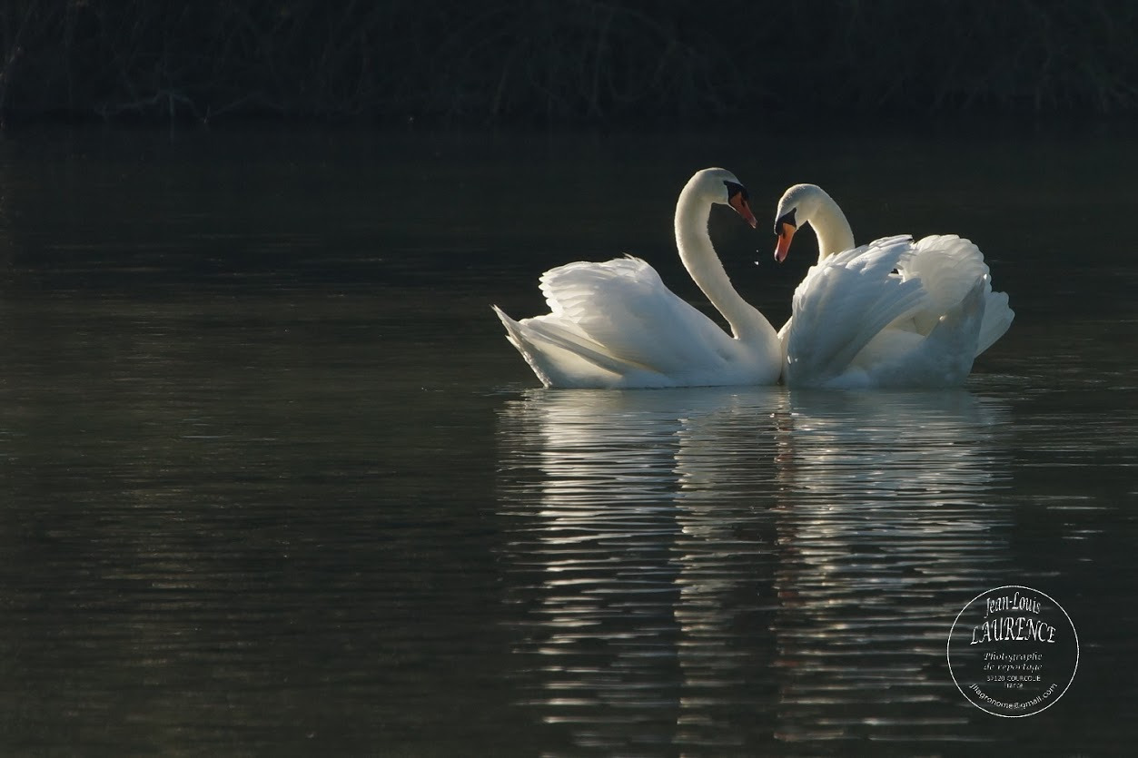 WBTPA Featured Top Photo