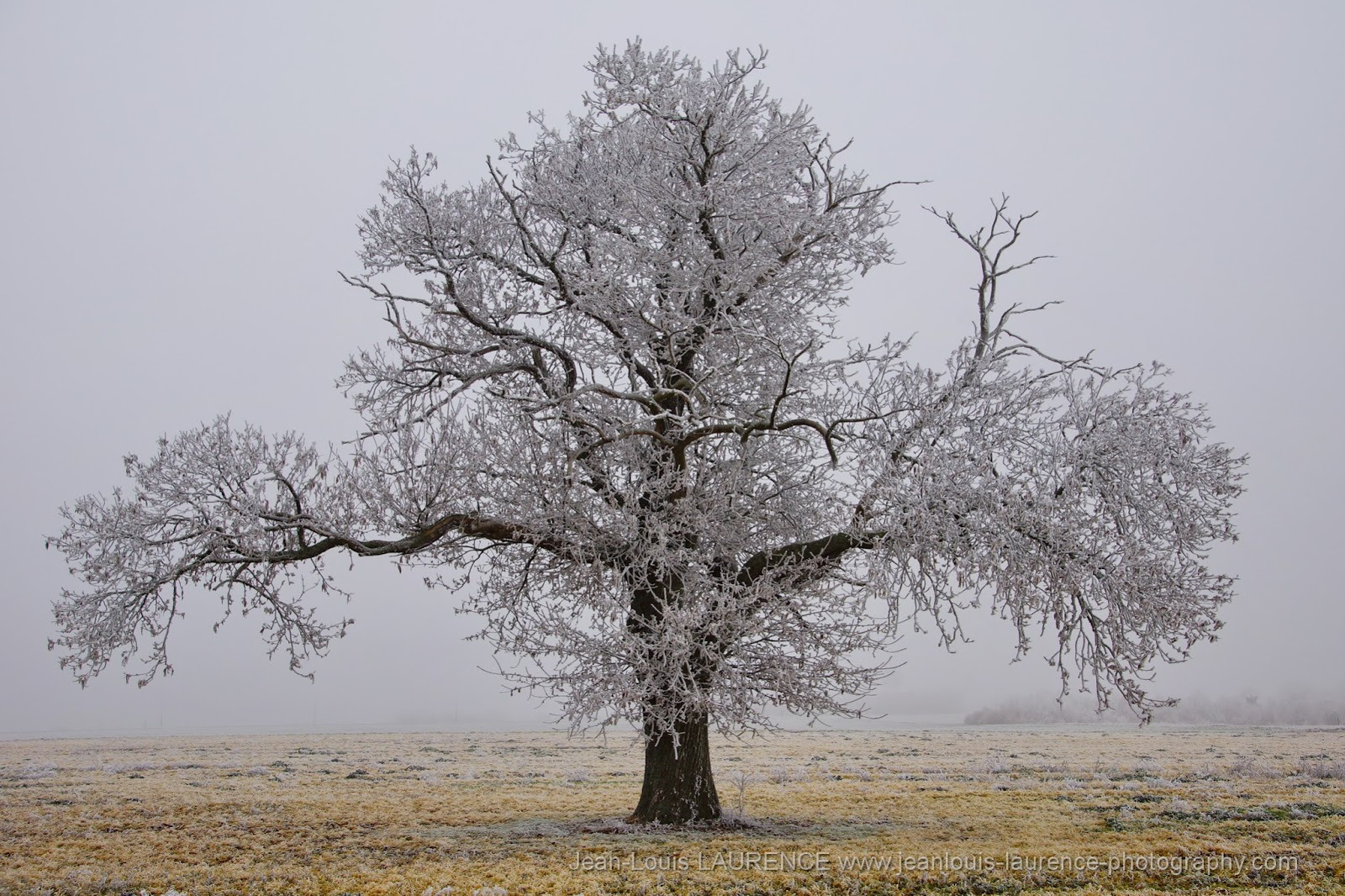 WBTPA Featured Top Photo