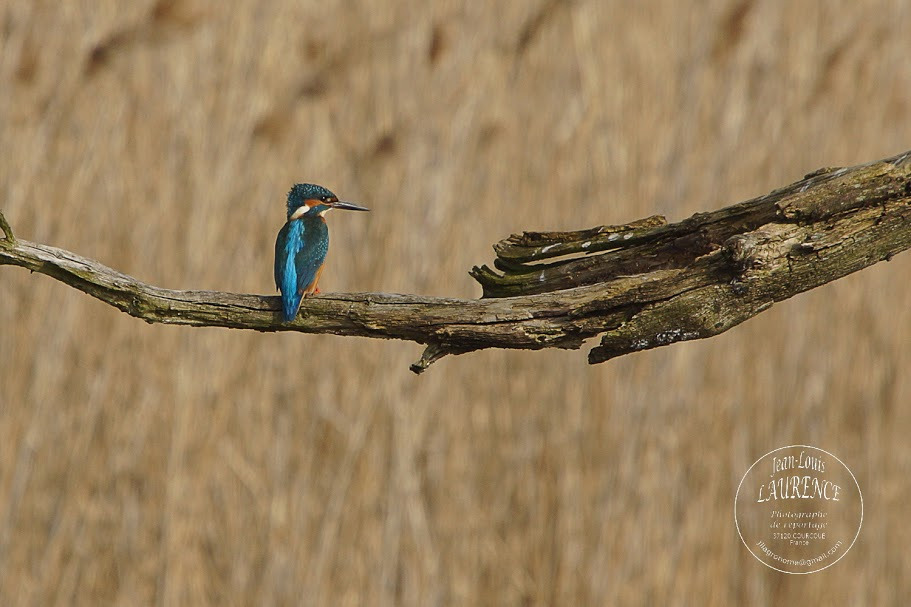 WBTPA Featured Top Photo