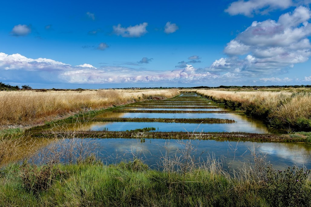 WBTPA Featured Top Photo