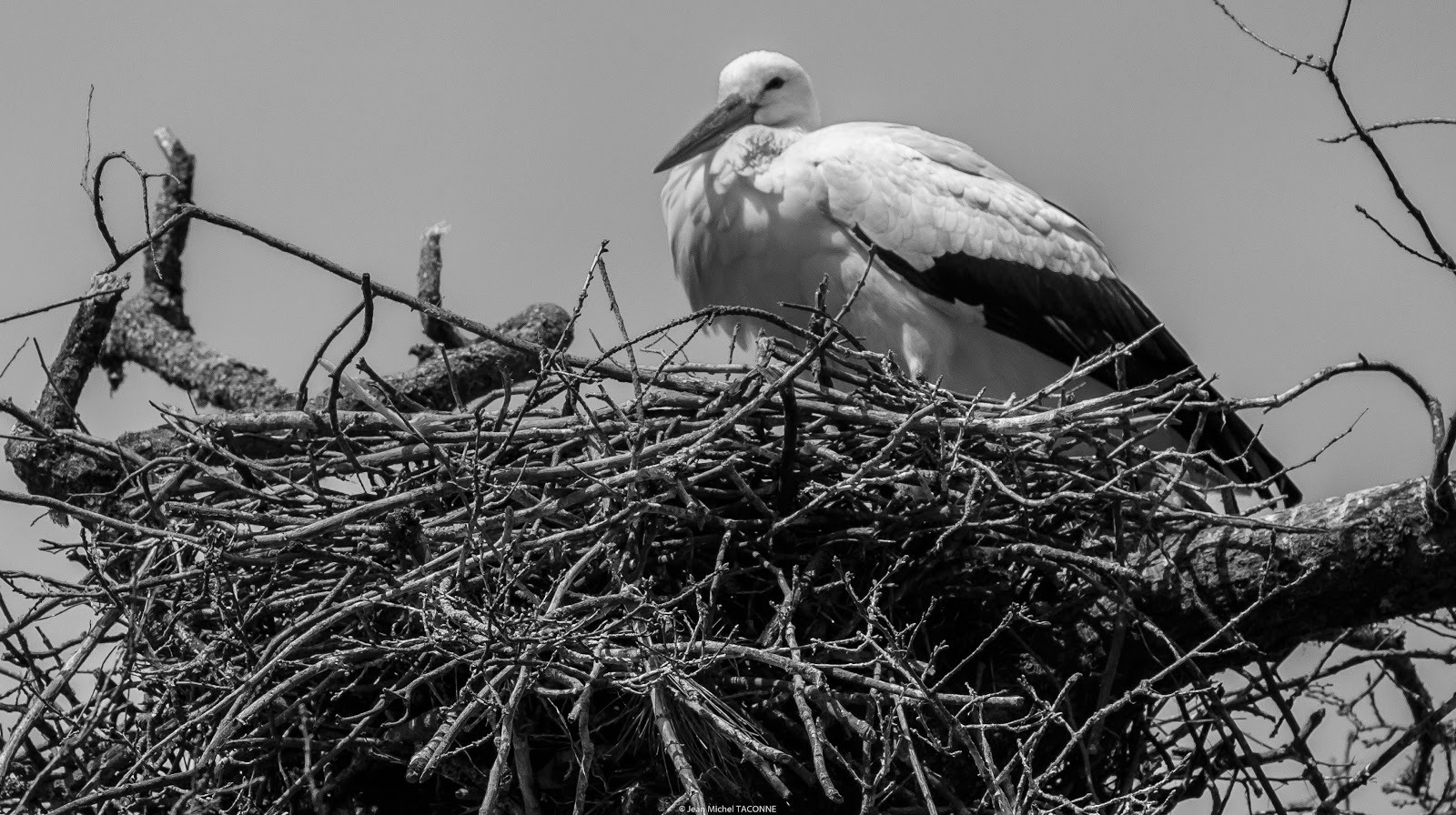 WBTPA Featured Top Photo