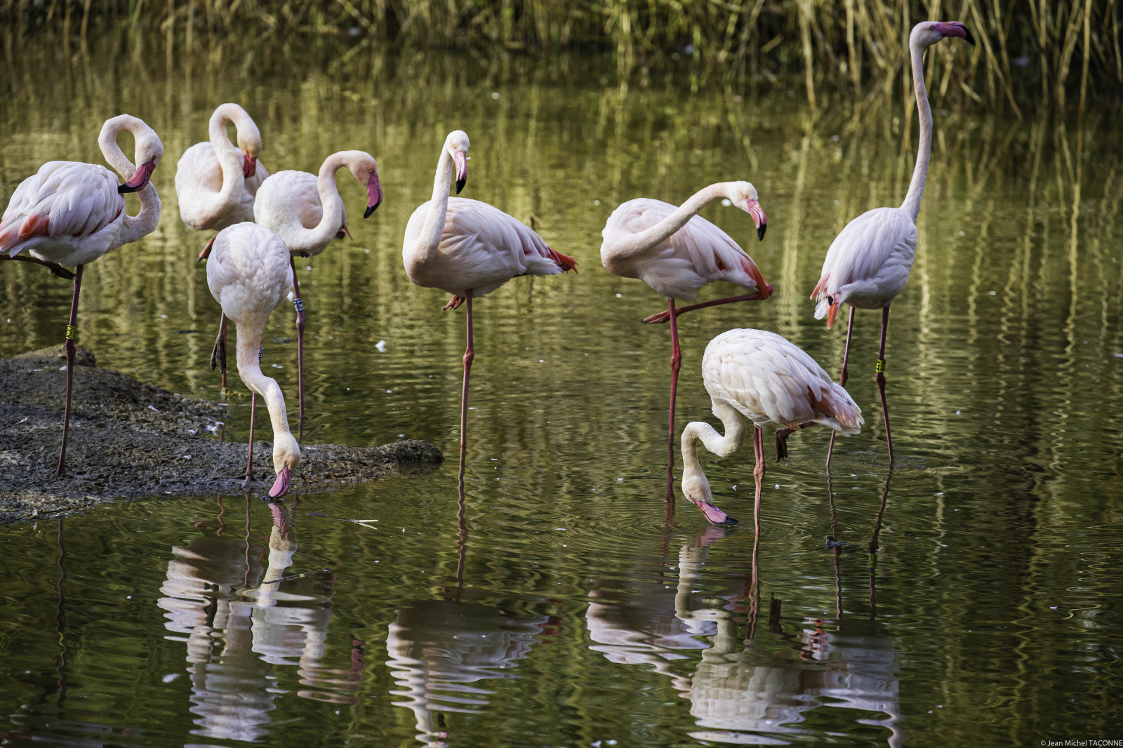 WBTPA Featured Top Photo