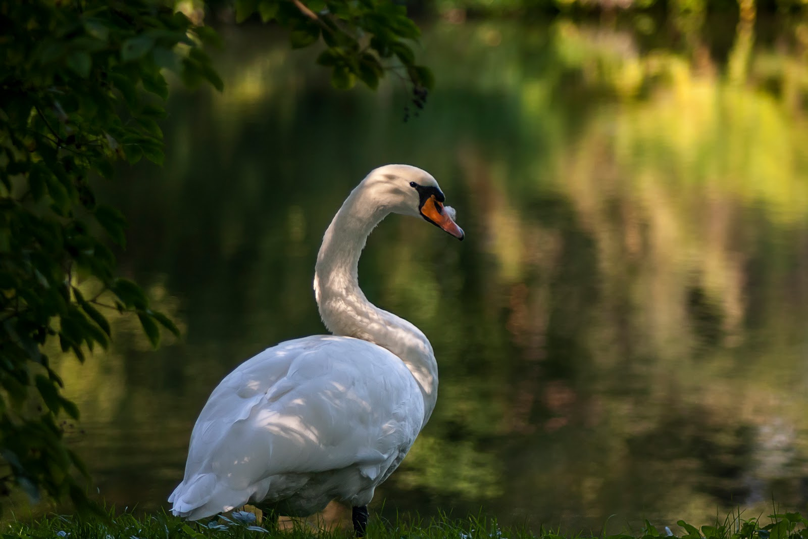 WBTPA Featured Top Photo