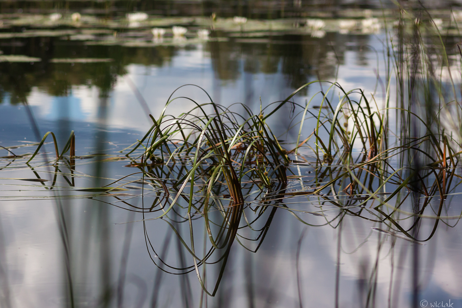 WBTPA Featured Top Photo