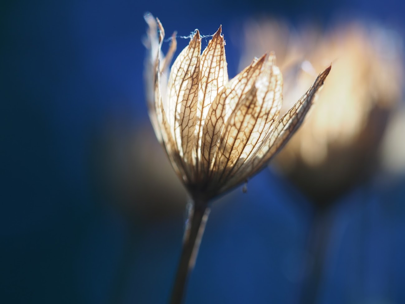 WBTPA Featured Top Photo