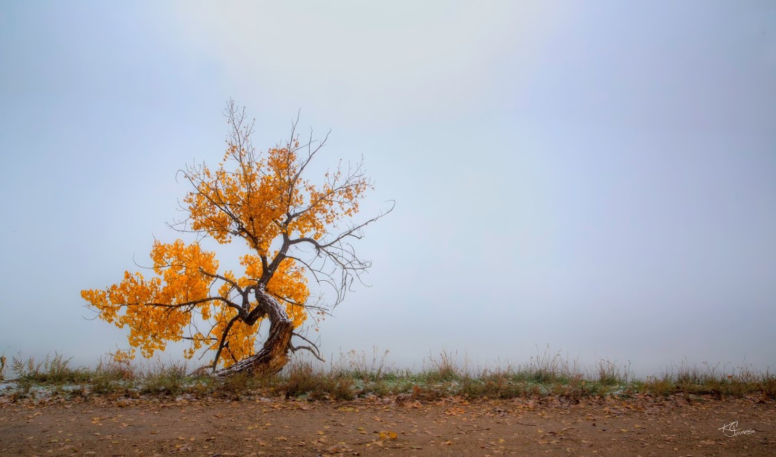 WBTPA Featured Top Photo