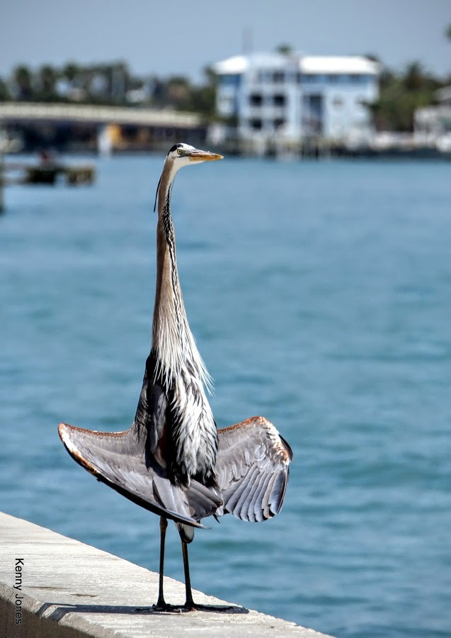 WBTPA Featured Top Photo